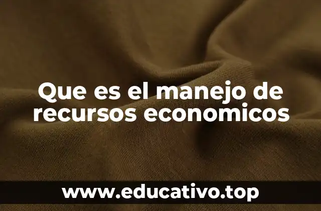 Que es el manejo de recursos economicos