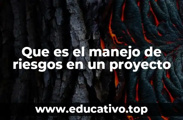 Que es el manejo de riesgos en un proyecto