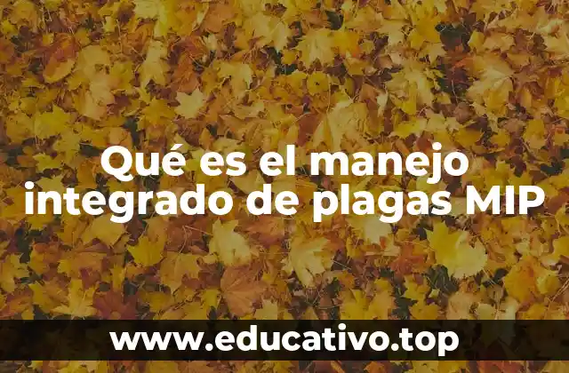 Qué es el manejo integrado de plagas MIP
