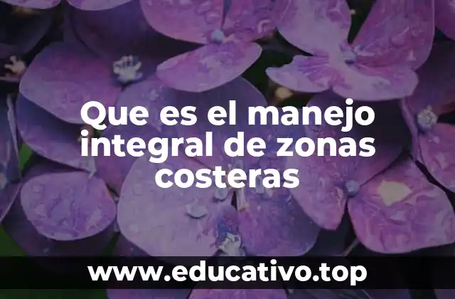 Que es el manejo integral de zonas costeras