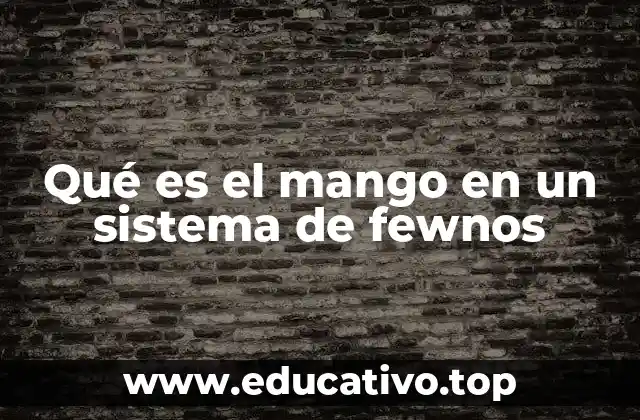 Qué es el mango en un sistema de fewnos