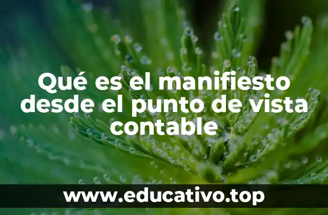 Qué es el manifiesto desde el punto de vista contable