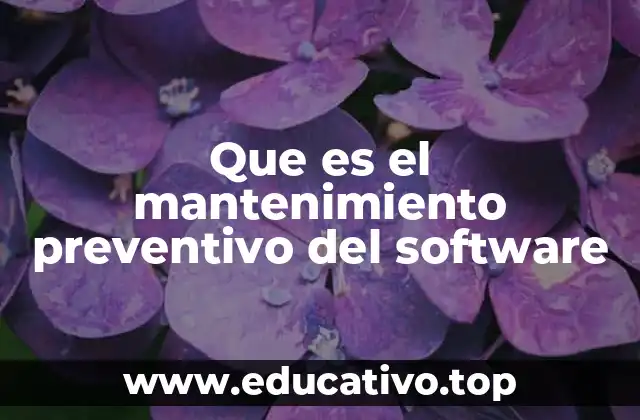 Que es el mantenimiento preventivo del software