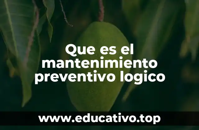 Que es el mantenimiento preventivo logico