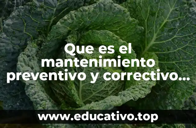 Que es el mantenimiento preventivo y correctivo de las computadoras