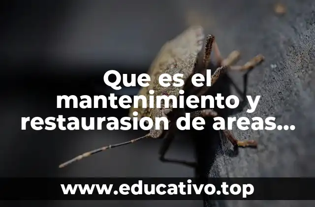 Que es el mantenimiento y restaurasion de areas vetdes