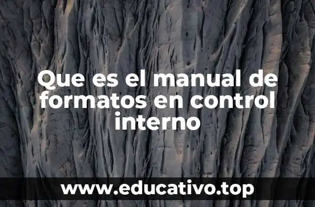 Que es el manual de formatos en control interno