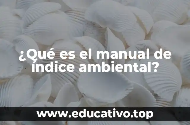 ¿Qué es el manual de índice ambiental?