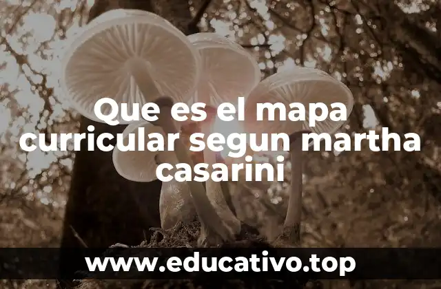 Que es el mapa curricular segun martha casarini