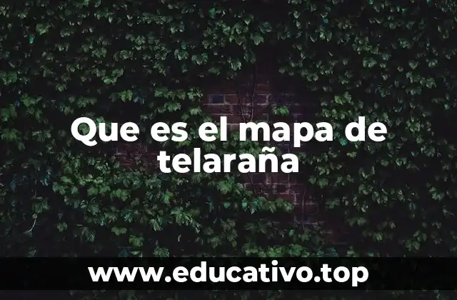 Que es el mapa de telaraña