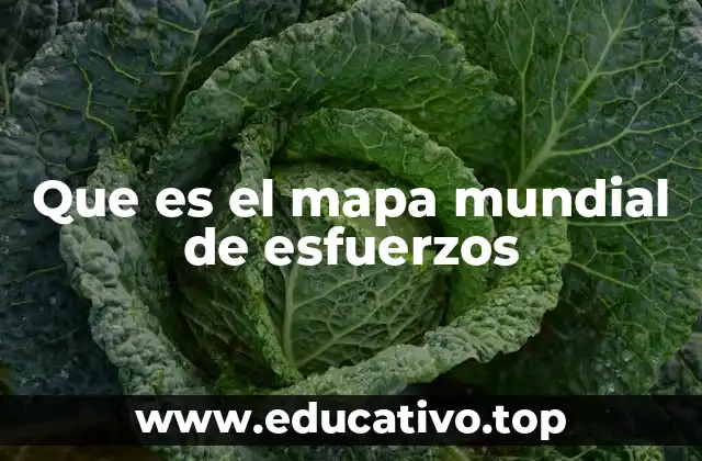 Que es el mapa mundial de esfuerzos