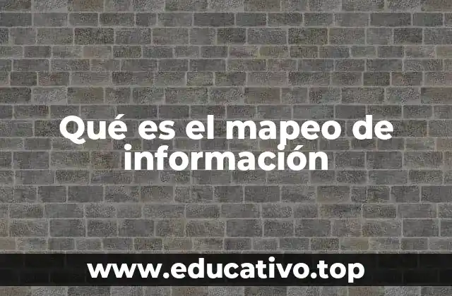 Qué es el mapeo de información