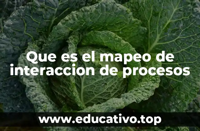 Que es el mapeo de interaccion de procesos