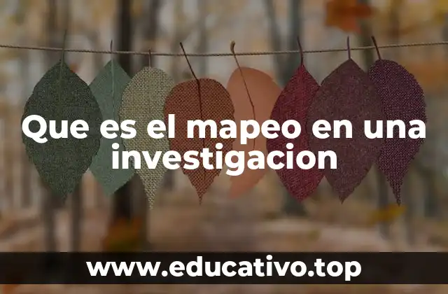 Que es el mapeo en una investigacion