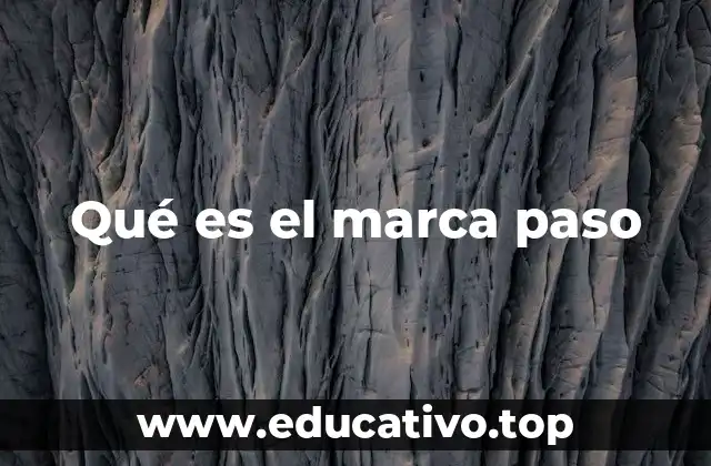 La importancia de los elementos visuales en la navegación