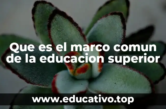Que es el marco comun de la educacion superior