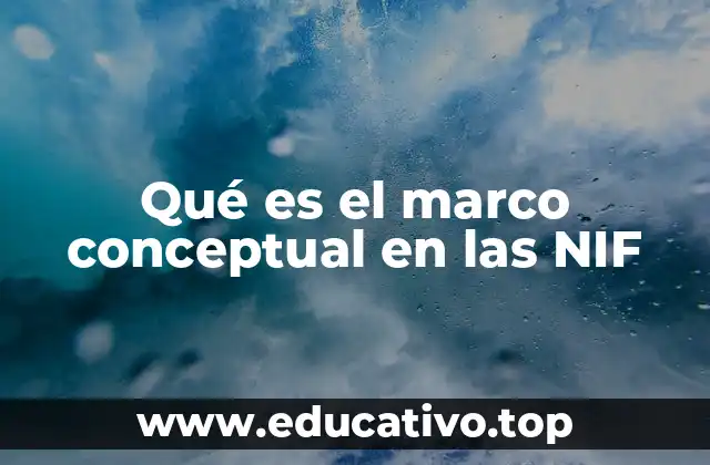 Qué es el marco conceptual en las NIF