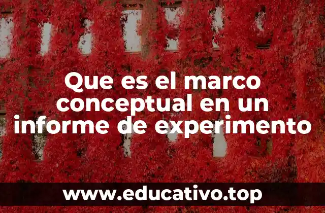 Que es el marco conceptual en un informe de experimento