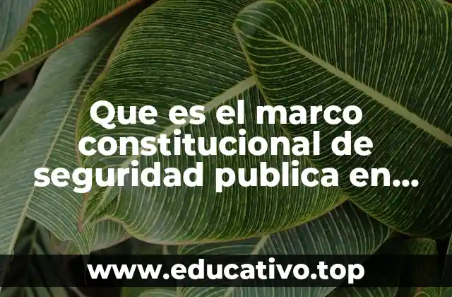 Que es el marco constitucional de seguridad publica en mexico