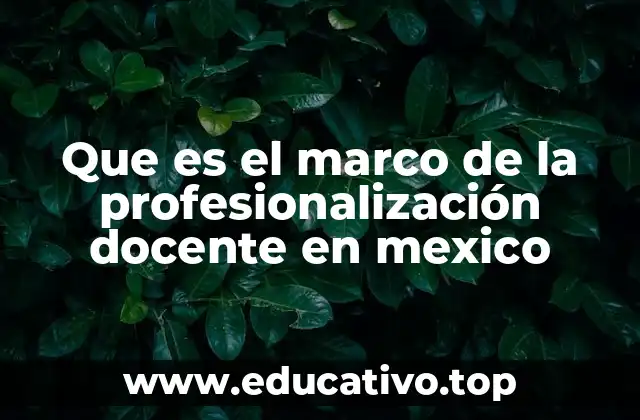 El camino hacia una educación de calidad mediante la profesionalización del magisterio