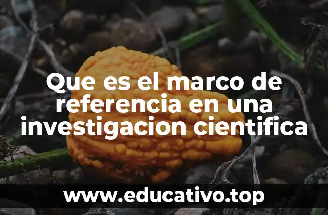 Que es el marco de referencia en una investigacion cientifica