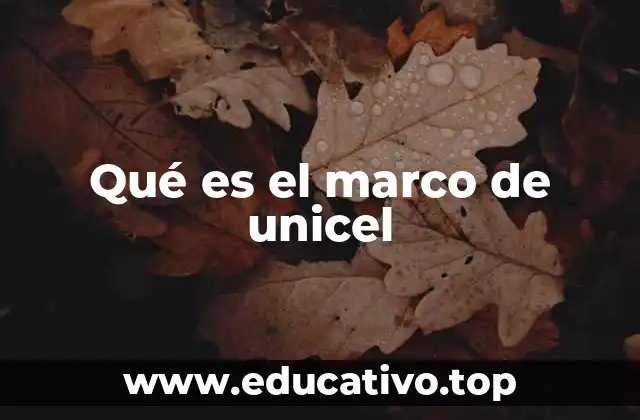 Qué es el marco de unicel