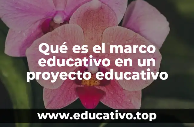 Qué es el marco educativo en un proyecto educativo