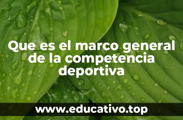 Que es el marco general de la competencia deportiva