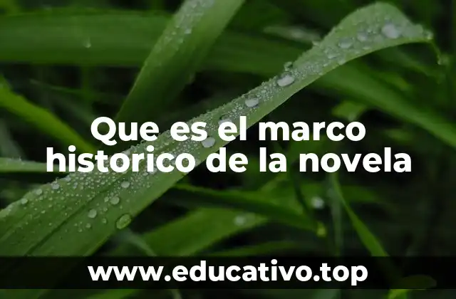 Que es el marco historico de la novela