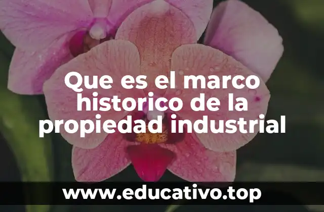 Que es el marco historico de la propiedad industrial
