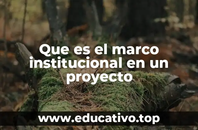 Que es el marco institucional en un proyecto