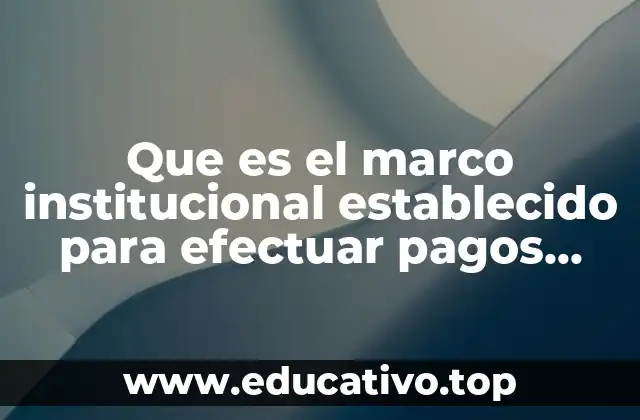Que es el marco institucional establecido para efectuar pagos internacionales