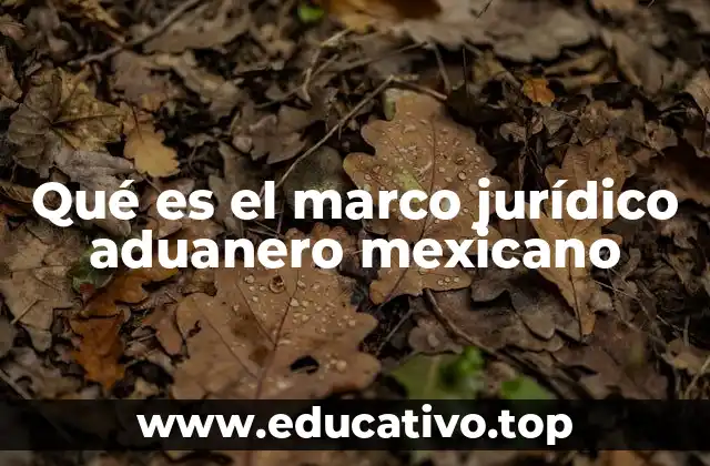Qué es el marco jurídico aduanero mexicano