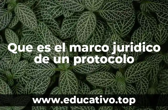 Que es el marco juridico de un protocolo