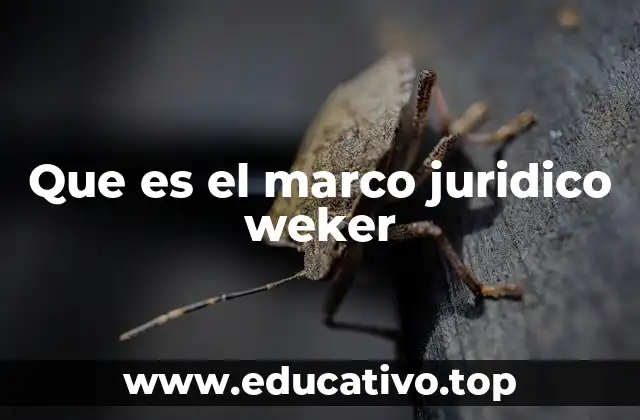 Que es el marco juridico weker