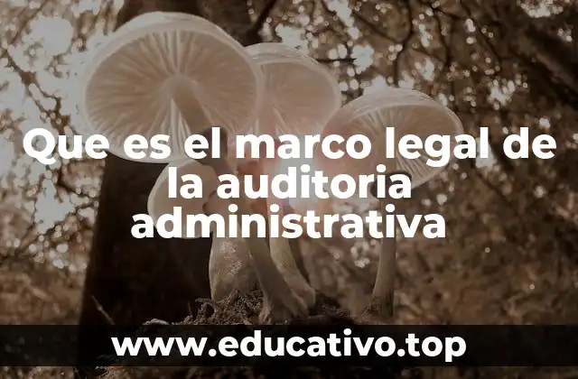 Que es el marco legal de la auditoria administrativa