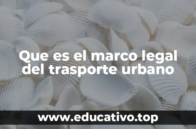 La importancia de una regulación clara en el transporte público