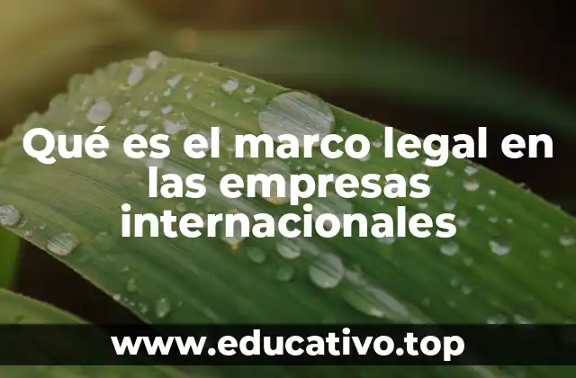 Qué es el marco legal en las empresas internacionales