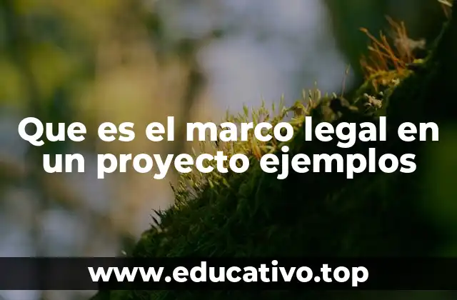 Que es el marco legal en un proyecto ejemplos