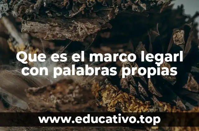 Cómo el marco legal define los límites del poder público