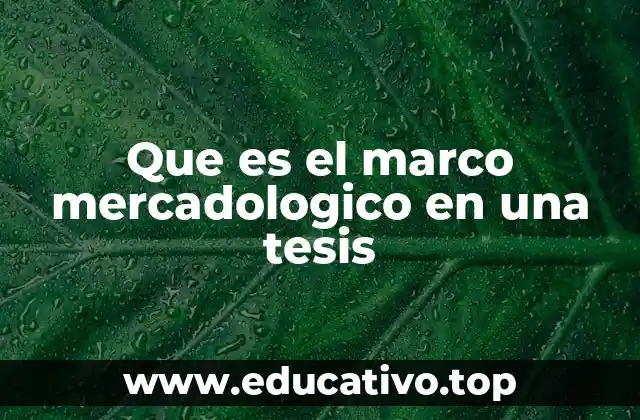 Que es el marco mercadologico en una tesis