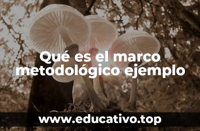 Qué es el marco metodológico ejemplo