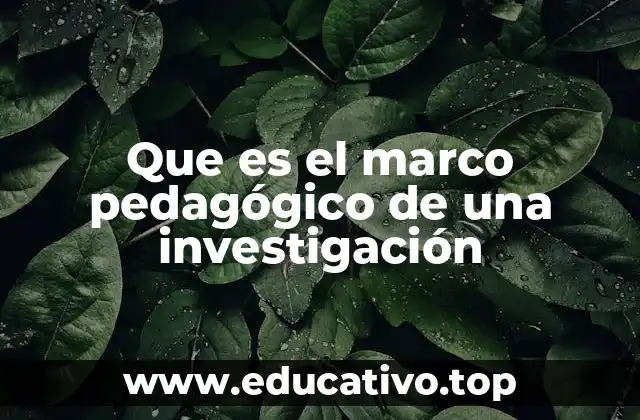 Que es el marco pedagógico de una investigación