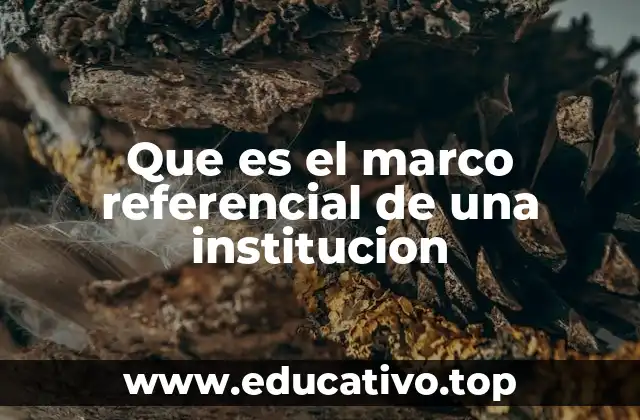 Que es el marco referencial de una institucion