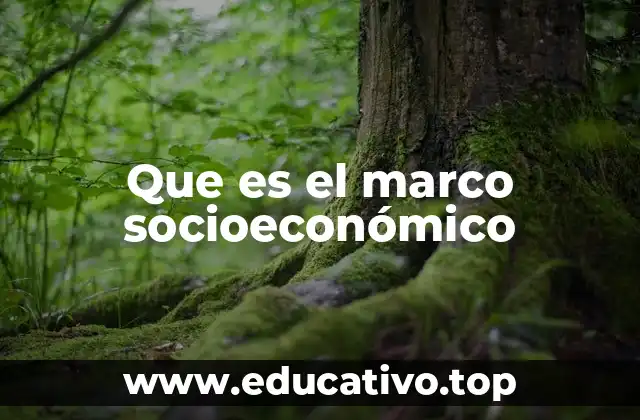 Que es el marco socioeconómico