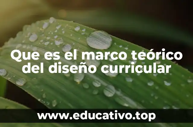 Que es el marco teórico del diseño curricular
