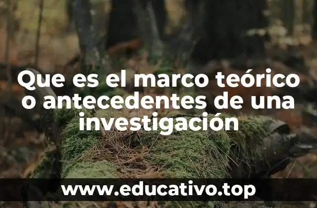 La importancia del contexto conceptual en una investigación científica