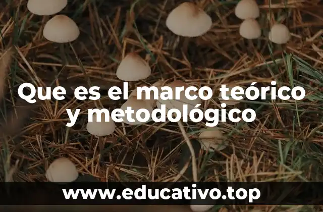 Que es el marco teórico y metodológico