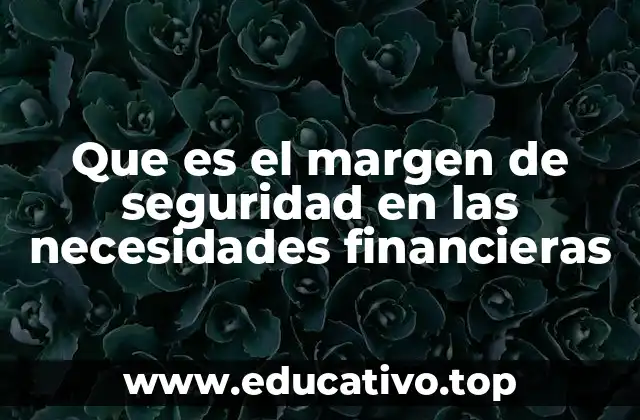 Que es el margen de seguridad en las necesidades financieras