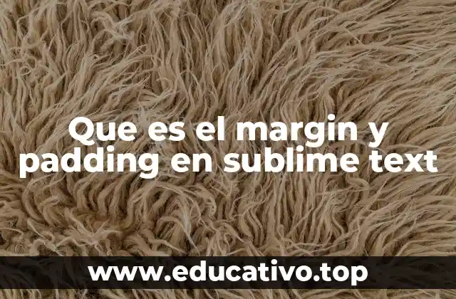 Que es el margin y padding en sublime text